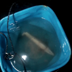 小潮でしたがなんとか太刀魚